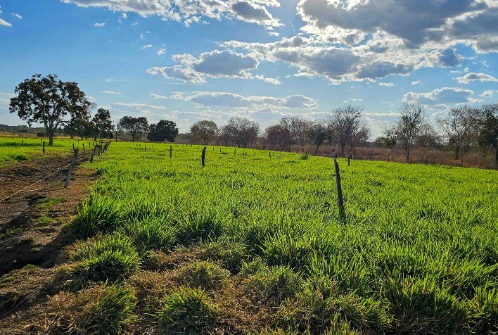 Nova lei incentiva irrigação no Norte de Minas e aumenta produtividade rural