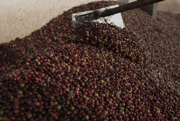 13º Prêmio Região do Cerrado Mineiro estreia categoria para cafés naturalmente doces