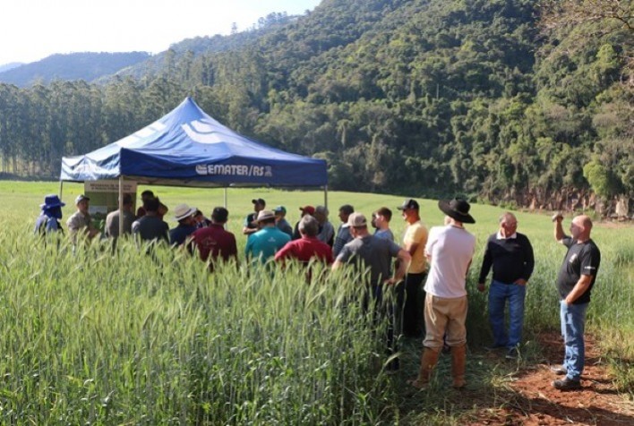 Tarde de campo em Encantado destaca tecnologias para bovinocultura e manejo de pastagens