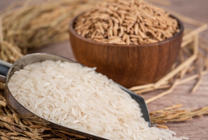 Conab abre chamada para aquisição de sementes voltada a indígenas, quilombolas e Programa Arroz da Gente