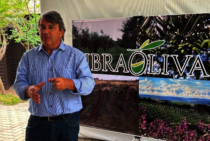 Produção de azeite de oliva recua em 2025, mas setor prevê retomada no próximo ciclo