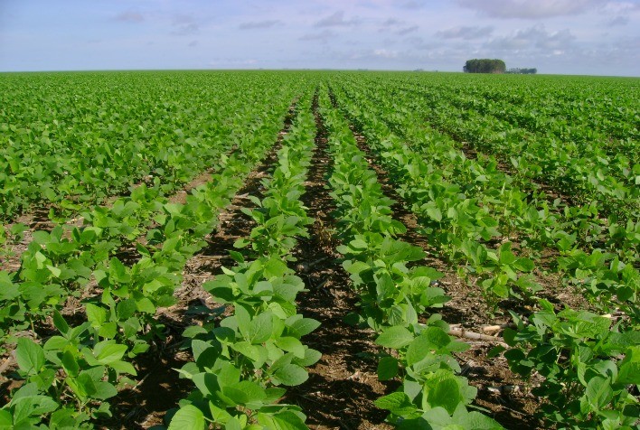 Aprosoja MT defende prorrogação de prazo para regularização de títulos de imóveis em faixa de fronteira