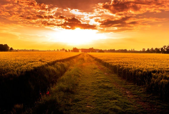 Clima no Brasil: calor intenso, geadas e chuvas irregulares impactam agricultura