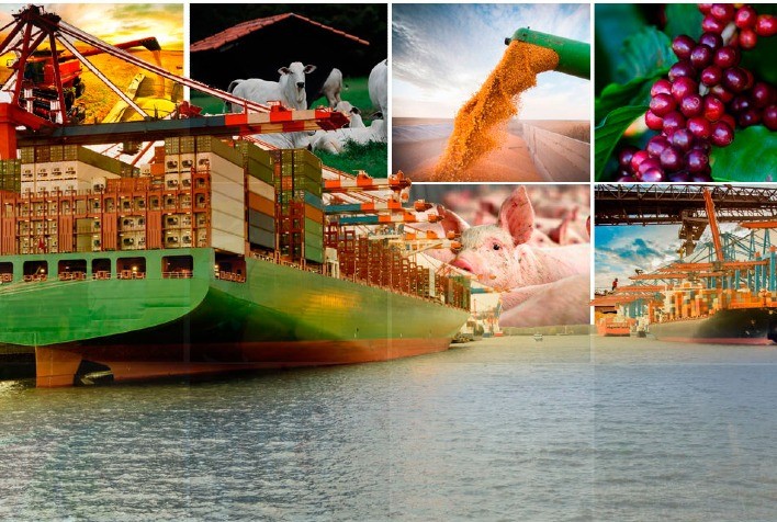 Exportações do agronegócio superam US$ 82 bilhões no 1º semestre de 2025