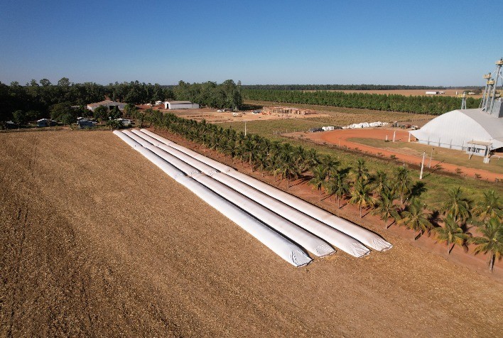 Falta de armazenagem limita competitividade dos produtores em Mato Grosso, alerta Aprosoja MT