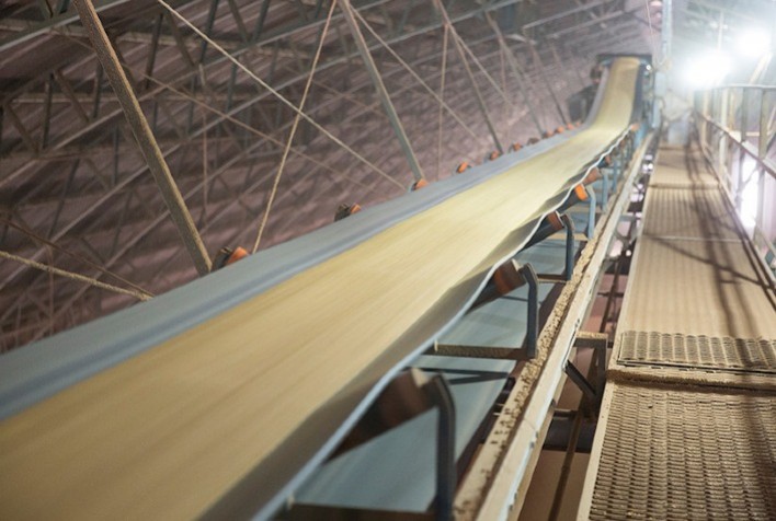 Soja mantém mercado aquecido com forte demanda da indústria de esmagamento