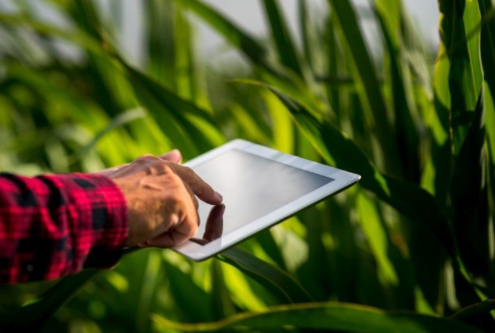 Digitalização se torna caminho essencial para o seguro agrícola no Brasil