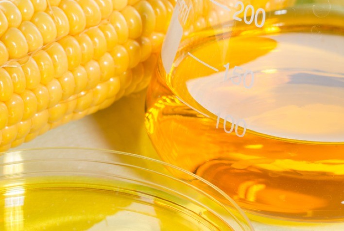 Biocombustível de milho impulsiona produção e expande fronteiras agrícolas com melhoramento genético