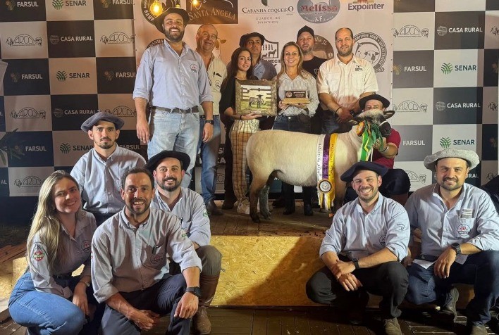 Expointer 2025: Comercialização de Ovinos Aproxima R$ 1 Milhão em Esteio (RS)