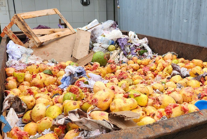Novo sistema transforma resíduos de frutas e verduras em biogás e energia renovável