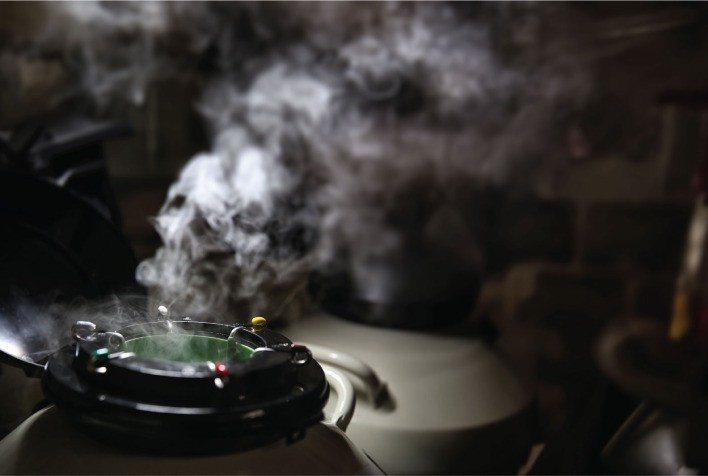 Genética de precisão impulsiona crescimento da ABS e eleva ações da Genus em mais de 80%