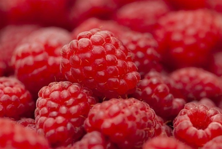 Framboesa passa por edição genética sem uso de DNA externo e abre novas possibilidades para cultivo