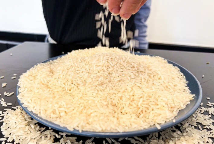 Preço do arroz despenca e acende alerta no setor produtivo em Santa Catarina