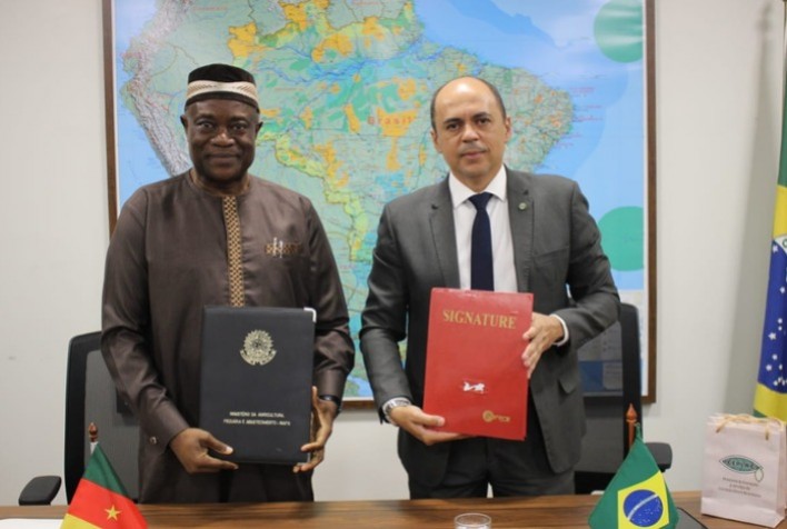 Brasil e Camarões firmam acordo para impulsionar produção sustentável de cacau