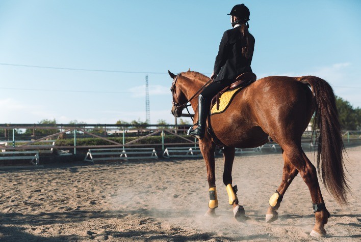 Síndrome do Navicular em Equinos: Impactos no Desempenho e Bem-Estar Animal