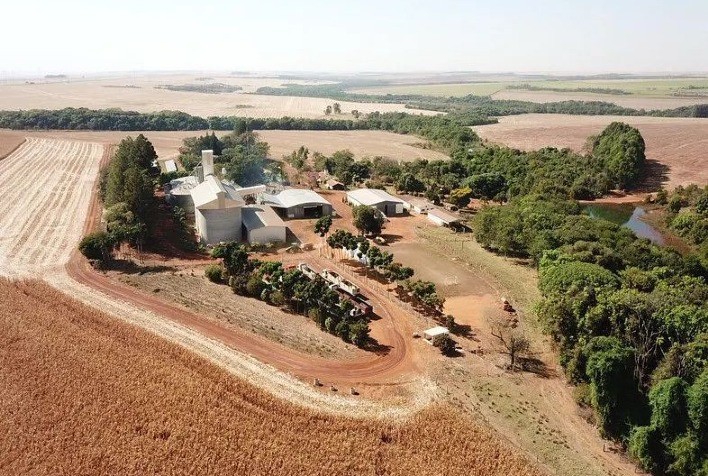 Projeto Queimadas confirma recuperação acelerada do solo com manejo regenerativo