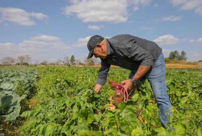 Agricultores Familiares Terão Acesso Facilitado ao Garantia-Safra com Nova Regra
