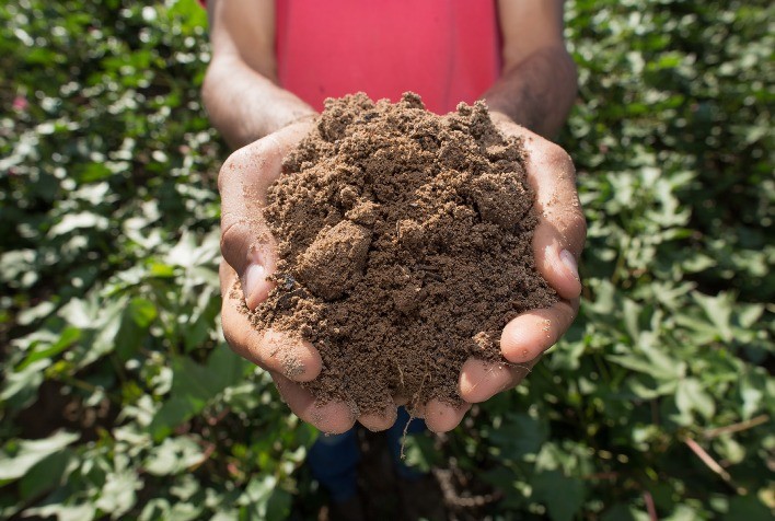 Agricultura regenerativa é caminho para estabilidade climática e produtividade sustentável