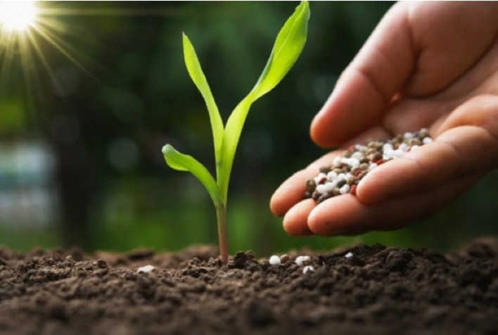 Nutrição equilibrada das plantas: chave para produtividade agrícola sustentável