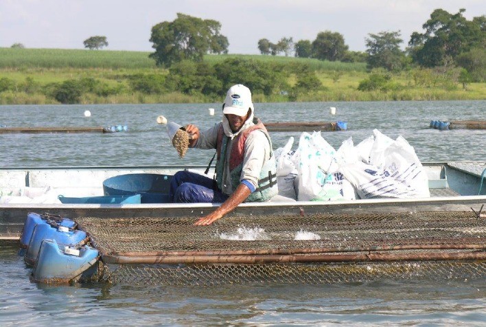 Dia de Campo da Embrapa destaca protagonismo da piscicultura de espécies nativas no Tocantins