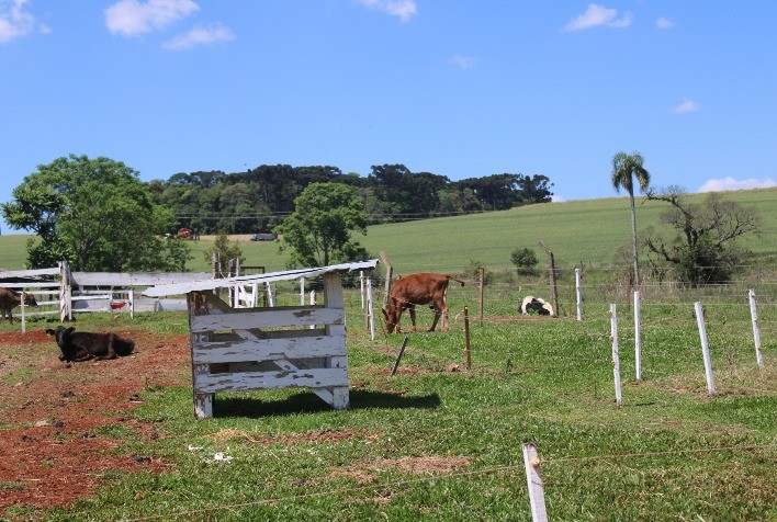 ITR: atraso na declaração gera multa e juros para produtores rurais