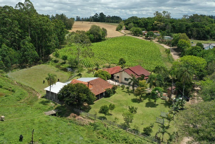 Tabaco mantém liderança como principal fonte de renda no Sul, apesar da diversificação agrícola