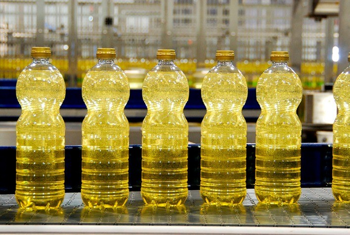 Capacidade de processamento de oleaginosas no Brasil cresce 5,7% e deve superar 76 milhões de toneladas em 2025