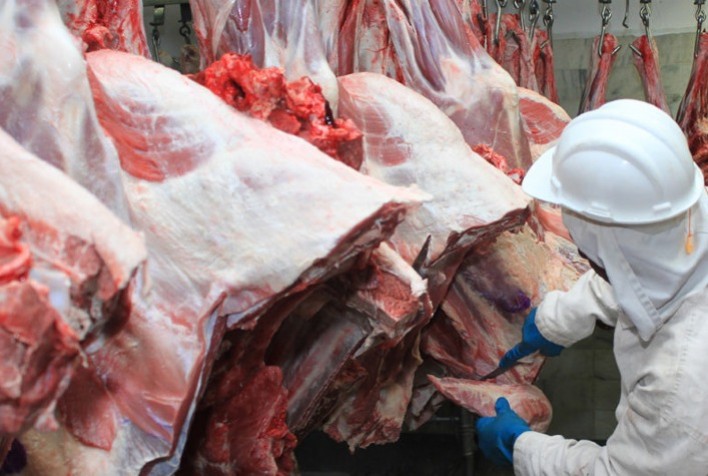 Exportações de carne bovina do Brasil somam 209,6 mil toneladas em setembro e já superam receita de 2024