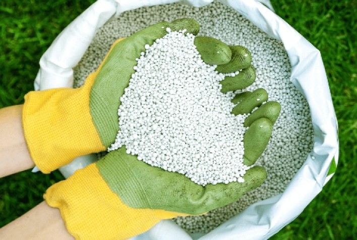 Sulfato de Amônio se Destaca no Mercado Brasileiro de Fertilizantes em 2025