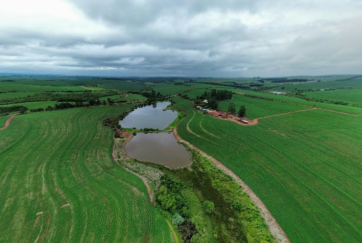 Produtores rurais devem ficar atentos a erros em autos de infração ambiental