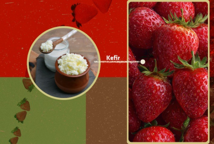Pesquisa da UFSCar mostra que derivado do kefir pode prolongar vida útil de morangos