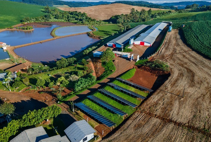 Produção de aves e suínos da MBRF com energia solar ultrapassa 60% em 2024