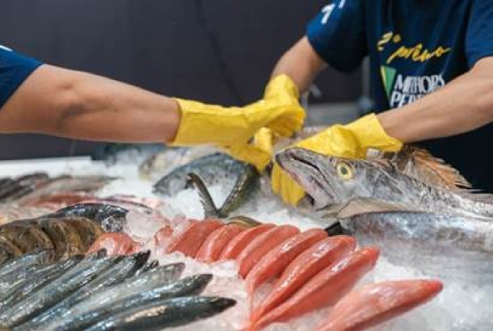 Seafood Show Latin America 2025: principal evento de pescado conecta varejo, atacado e distribuidores