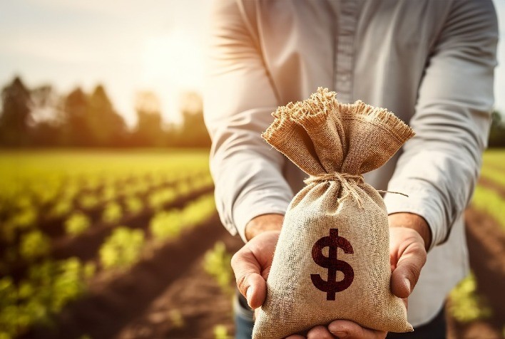 Crédito privado para o agronegócio ganha força com soluções flexíveis e personalizadas
