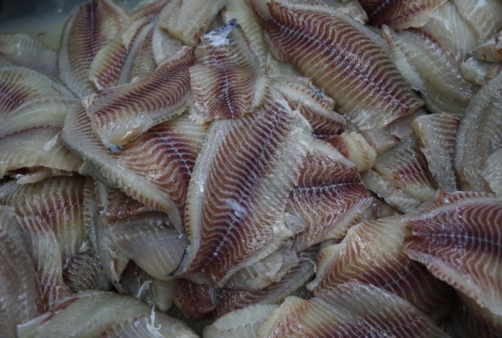 Consumo de tilápia cresce 10,3% ao ano e deve manter ritmo acelerado na próxima década