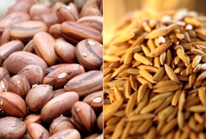 Arroz enfrenta crise de preços enquanto feijão registra valorização em meio à oferta restrita