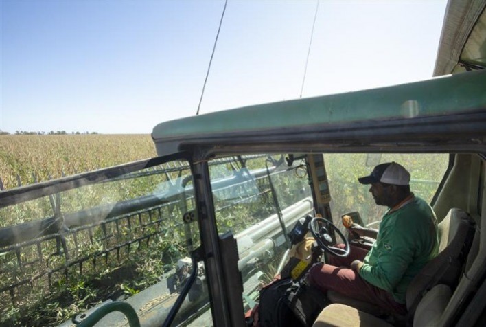 BDMG oferece mentoria gratuita a produtores rurais que investirem em agricultura sustentável