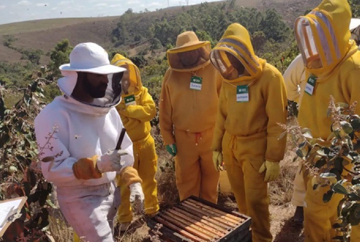 Apicultores do Sul de Minas se unem para fortalecer produção e acessar mercados internacionais