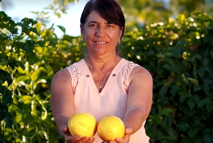 Safra de maracujá 2025 reforça impacto positivo do projeto da Maguary com pequenos produtores