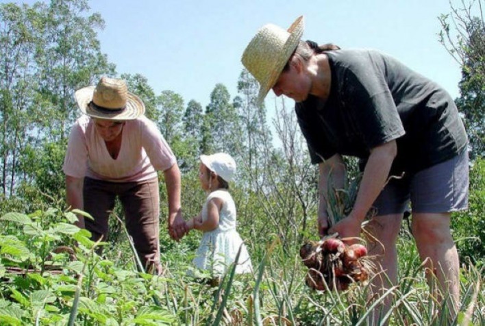 Lula sanciona lei que transforma Pronaf e Plano Safra da Agricultura Familiar em política permanente