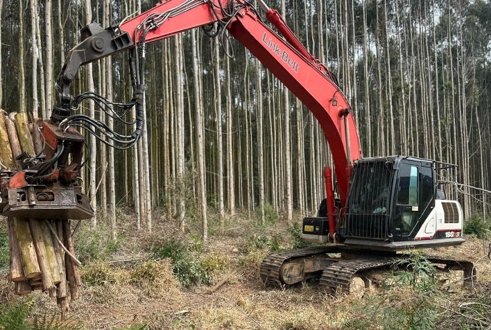 Escavadeiras Link-Belt garantem eficiência e economia em colheita florestal no interior paulista