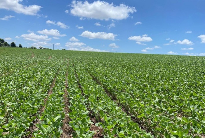 Safra 2025/26: tecnologias integradas impulsionam agricultura regenerativa e competitividade no campo