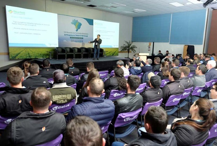 Câmara Setorial do Trigo projeta safra paulista acima de 350 mil toneladas em 2025