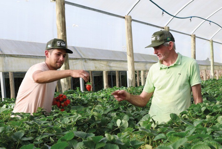 Produtor rural tem papel decisivo para o cumprimento das metas da ONU até 2030, destaca Sistema FAEP