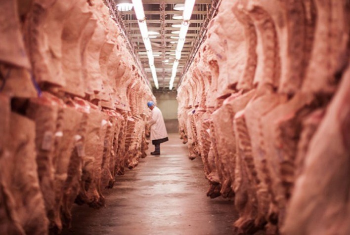 Exportações de carne bovina do Brasil batem recorde histórico em setembro/25 com crescimento de 25%