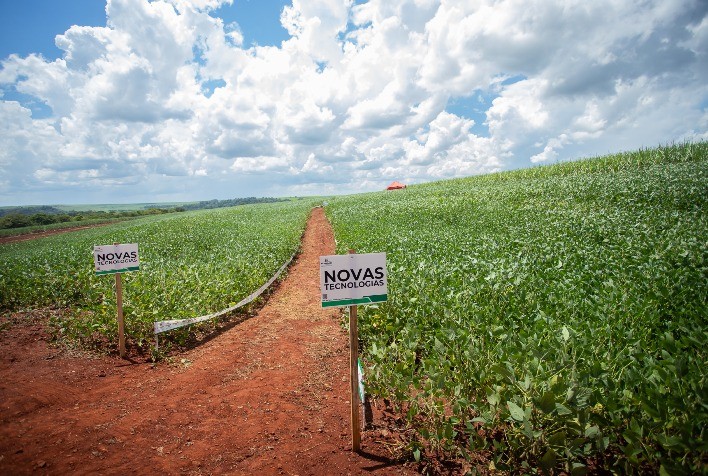 Empresa brasileira lança fertilizante inovador e reduz dependência do país de produtos importados