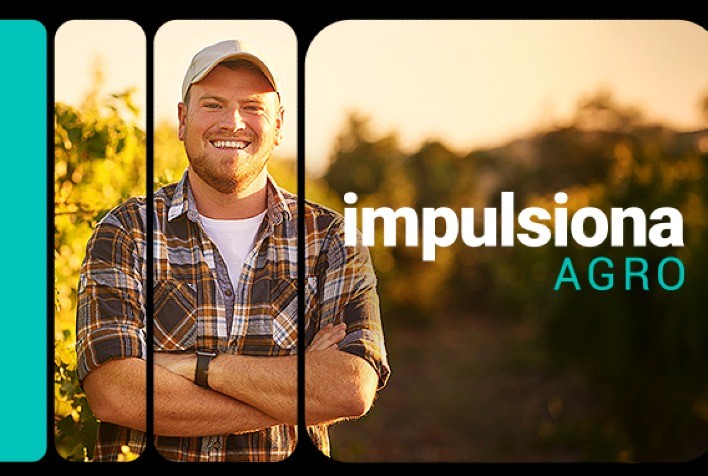 Serasa Experian lança programa Impulsiona Agro para pequenos produtores com foco em gestão, crédito e sustentabilidade