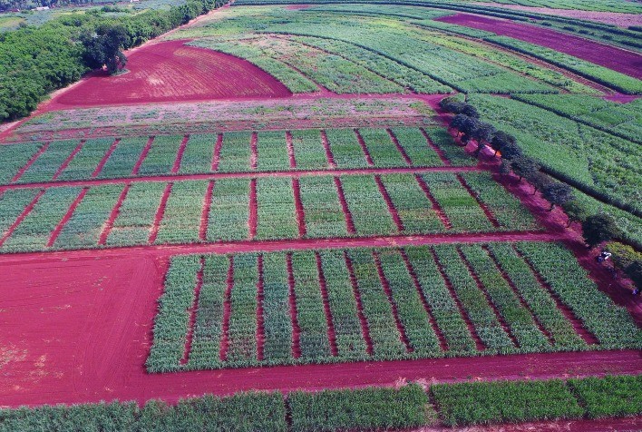 Monitoramento é tão importante quanto água na irrigação agrícola