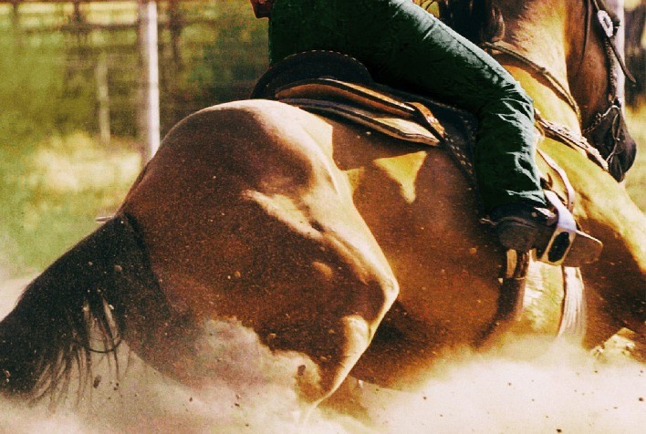 Suplementação estratégica previne fadiga muscular em cavalos atletas