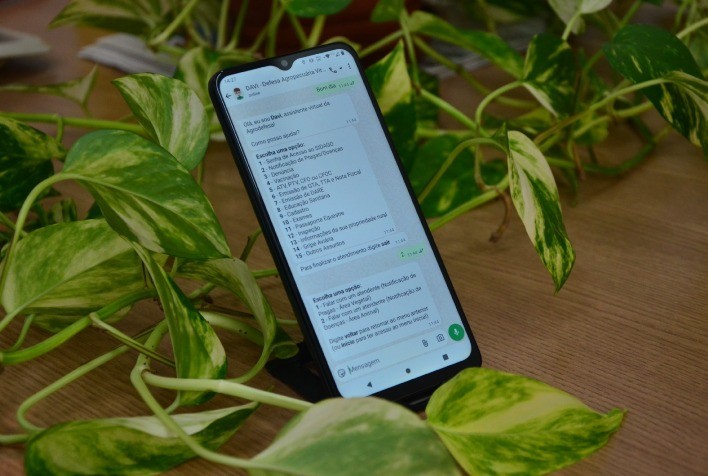 Chatbot Davi da Agrodefesa recebe nova função para notificações de pragas, doenças e irregularidades pelo WhatsApp